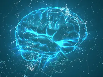 Representación de un cerebro humano Representación de un cerebro humano