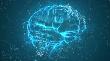 Representaci&oacute;n de un cerebro humano