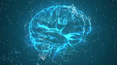 Representación de un cerebro humano Representación de un cerebro humano