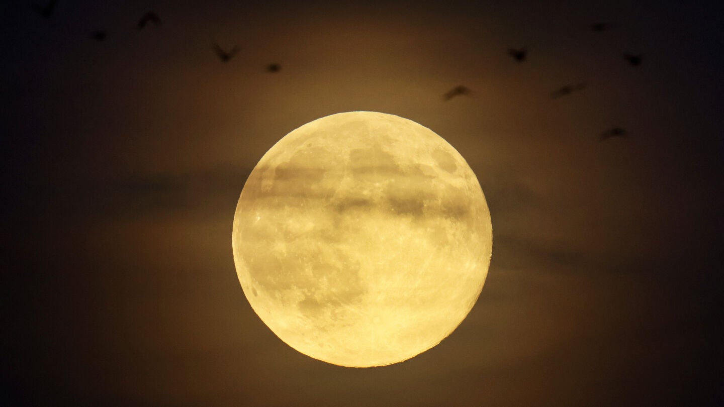 Superluna de Castor en Alemania