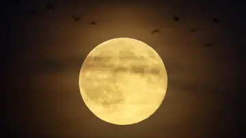 Superluna de Castor en Alemania Superluna de Castor en Alemania