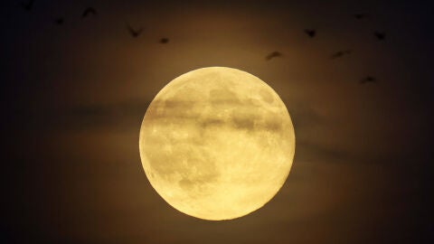 Superluna de Castor en Alemania