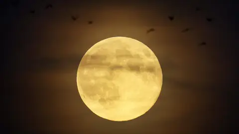 Superluna de Castor en Alemania Superluna de Castor en Alemania