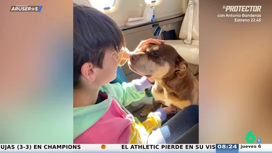 Tom Brady clona a su perro al igual que Paris Hilton y Milei: "Ha reconocido que no podía superar el duelo" Tom Brady clona a su perro al igual que Paris Hilton y Milei: "Ha reconocido que no podía superar el duelo"