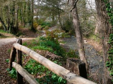Ruta micol&oacute;gica de la Nava