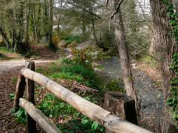Ruta micológica de la Nava Ruta micológica de la Nava
