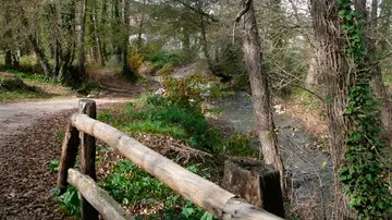 Ruta micológica de la Nava Ruta micológica de la Nava