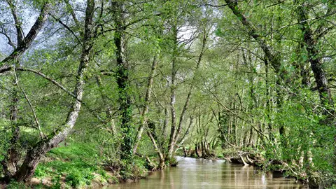 Sendero La Nava - Río Caliente Sendero La Nava - Río Caliente