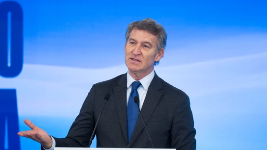 El líder del PP, Alberto Núñez Feijóo, durante un acto El líder del PP, Alberto Núñez Feijóo, durante un acto