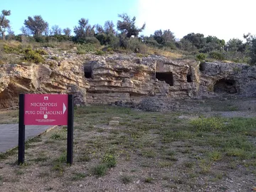 Necrópolis Puig des Molins Necrópolis Puig des Molins