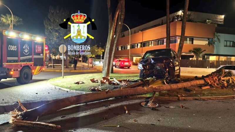 Estado de la furgoneta y la palmera tras el accidente