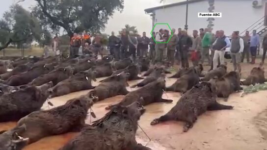 Cacer&iacute;a de lujo del socio de Aldama