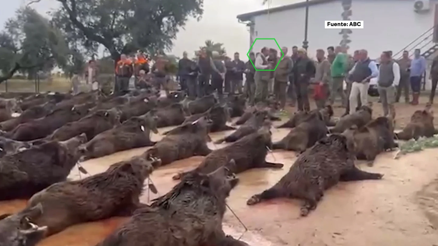 Cacería de lujo del socio de Aldama Cacería de lujo del socio de Aldama
