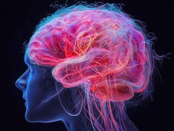 Se&ntilde;ales cerebrales