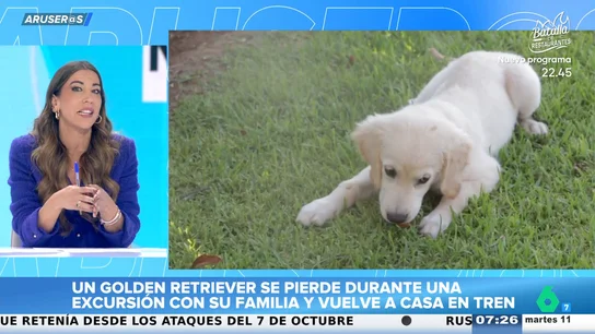 El curioso caso del Golden Retriever que se pierde en una excursión familiar y vuelve solo a casa en tren El curioso caso del Golden Retriever que se pierde en una excursión familiar y vuelve solo a casa en tren