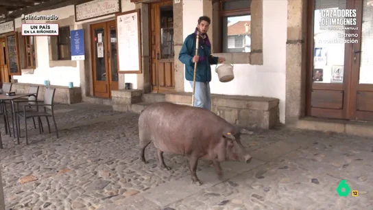 Isma Juárez pasea al famoso cerdo de La Alberca: "¿Por qué Clooney tiene uno y es maravilloso y yo parezco el tonto del pueblo?" Isma Juárez visita La Alberca, un pueblo de Salamanca conocido por la tradición de tener un cerdo que pasea durante meses y finalmente protagoniza una rifa. En este vídeo, Isma Juárez lo conoce: "Parecemos Timón y Pumba".
