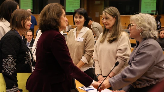 Gran ovación a las víctimas de la DANA en el Parlamento Europeo entre exigencias de "justicia y reparación" Gran ovación a las víctimas de la DANA en el Parlamento Europeo entre exigencias de "justicia y reparación"