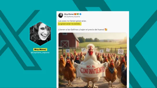 Sí, la gripe aviar existe y no es un plan para subir el precio de los huevos Sí, la gripe aviar existe y no es un plan para subir el precio de los huevos