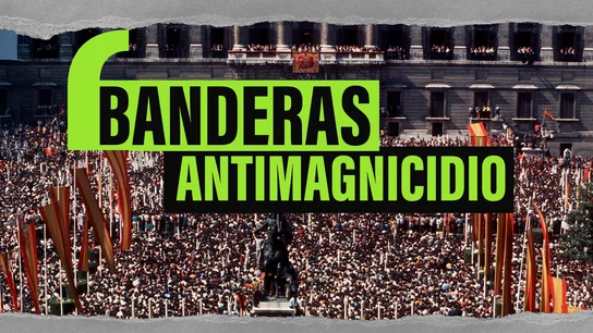 Entre banderas gigantes, rifles escondidos y miedo en cada esquina: así vivió Madrid el día que murió Franco Entre banderas gigantes, rifles escondidos y miedo en cada esquina: así vivió Madrid el día que murió Franco