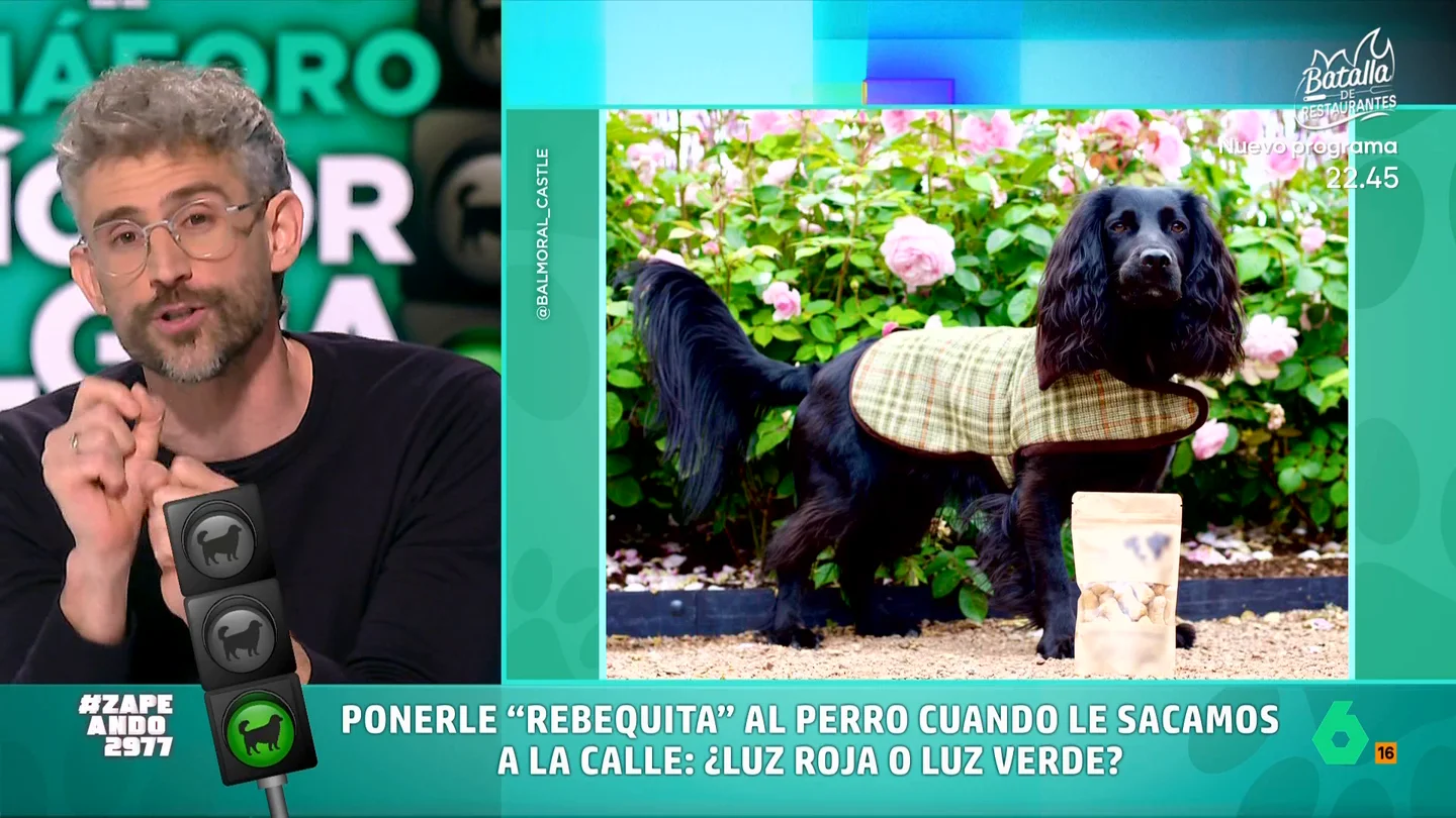 Víctor Algra desvela, en este vídeo, qué opina sobre los abrigos para perros: "Luz verde con matices" Muchas personas tienen auténticas colecciones de prendas para sus mascotas y, con la llegada del frío, es habitual que les pongan abrigos o chaquetas para salir. Pero, ¿es recomendable que usen estas prendas?