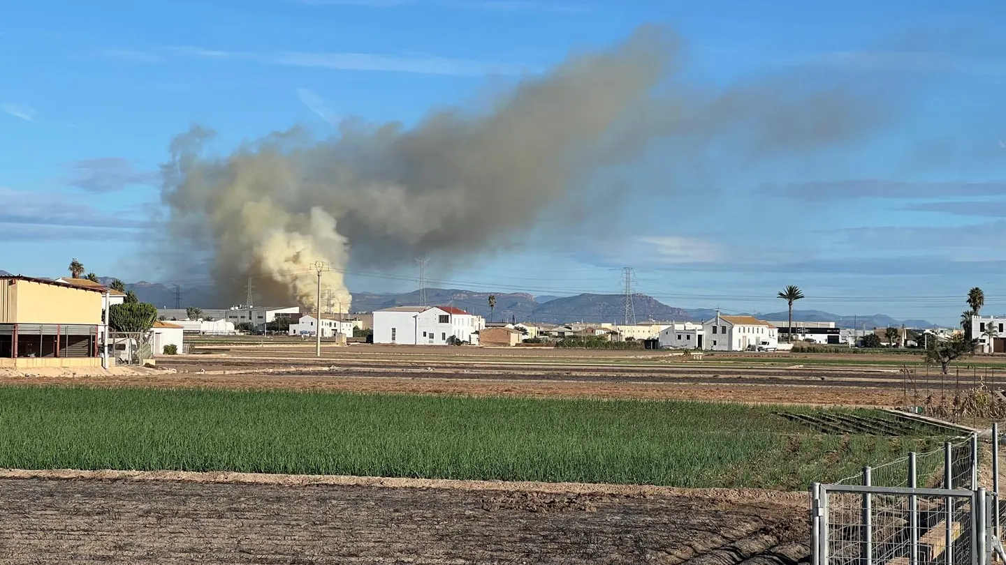 Columna de humo del incendio en Alboraya Columna de humo del incendio en Alboraya
