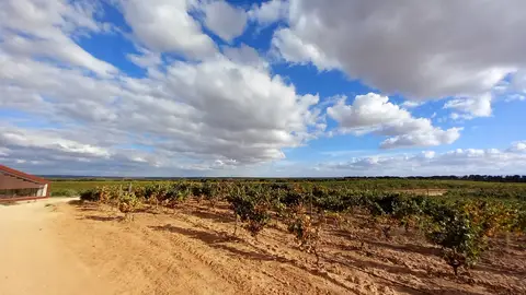 Finca El Bosque de Matasnos Finca El Bosque de Matasnos