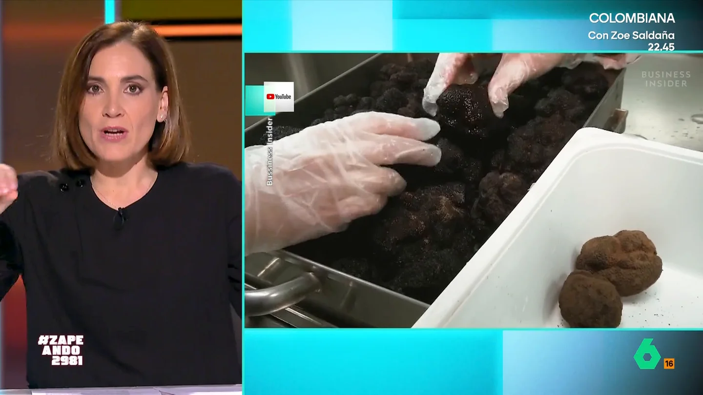 VÍDEO | De 600 a más de 4.000 euros el kilo: trufas a precio de oro, un lujo que muy pocos se pueden permitir VÍDEO | De 600 a más de 4.000 euros el kilo: trufas a precio de oro, un lujo que muy pocos se pueden permitir