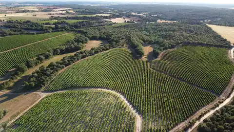 Finca Bosque de Matasnos Finca Bosque de Matasnos