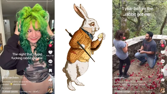 La tendencia del 'Rabbit got me' de Tiktok o cómo viralizar las tragedias que dieron un vuelco a cientos de vidas La tendencia del 'Rabbit got me' de Tiktok o cómo viralizar las tragedias que dieron un vuelco a cientos de vidas