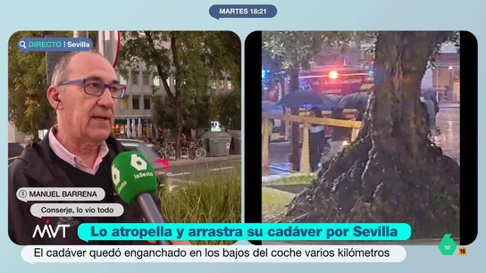 Testigo atropello Testigo atropello