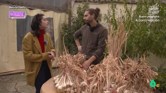 Emilio Medina, bombero forestal que cultiva semillas en peligro de extinción: "Son más resistentes a enfermedades" Inés Rodríguez acompaña una jornada a Emilio Medina, un bombero forestal que, en la huerta de su familia, está recuperando y volviendo a cultivar semillas casi extintas, como la patata roja de Palencia o una modalidad de tomate de 1916.