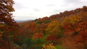 Valle del Genal Valle del Genal