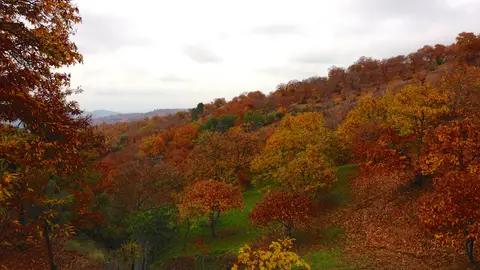 Valle del Genal Valle del Genal