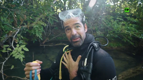 Hoy, en Cazadores de imágenes, Gotzon Mantuliz y Miguel Ángel Muñoz viajan a Brasil Hoy, en Cazadores de imágenes, Gotzon Mantuliz y Miguel Ángel Muñoz viajan a Brasil