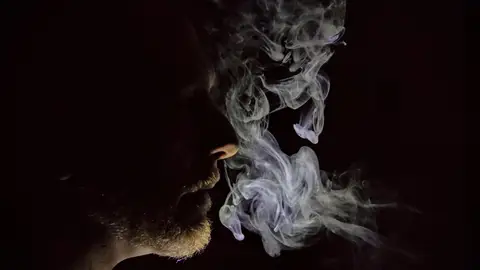 Humo de tabaco Humo de tabaco