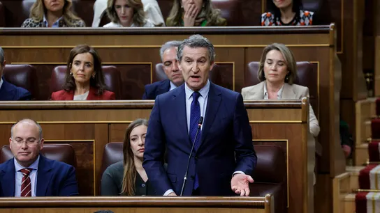 El líder del PP. Alberto Núñez Feijóo, interviene durante la sesión de control al Ejecutivo de este miércoles en el Congreso. El líder del PP. Alberto Núñez Feijóo, interviene durante la sesión de control al Ejecutivo de este miércoles en el Congreso.