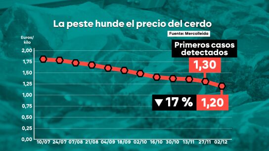 El precio del cerdo sufre una ca&iacute;da hist&oacute;rica por la peste porcina.