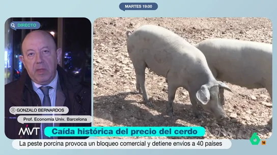 Gonzalo Bernardos pide que no "cunda el pánico": "Vamos a seguir exportando a la Unión Europea" Gonzalo Bernardos pide que no "cunda el pánico": "Vamos a seguir exportando a la Unión Europea"