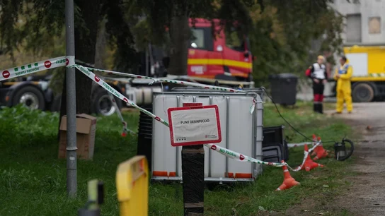 El CRG analizará los mecanismos de resistencia natural a la peste porcina africana El CRG analizará los mecanismos de resistencia natural a la peste porcina africana