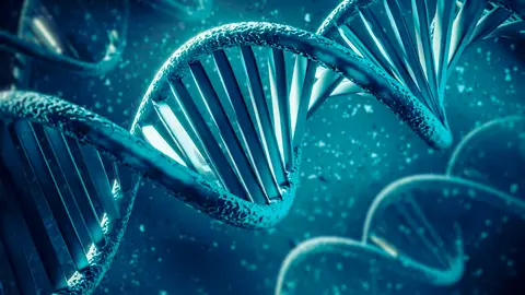 Genoma humano Genoma humano