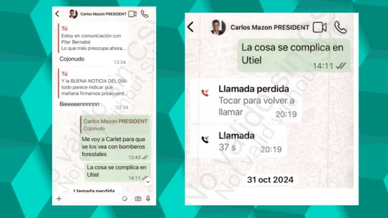 Los mensajes de Salomé Pradas a Carlos Mazón el día de la DANA Los mensajes de Salomé Pradas a Carlos Mazón el día de la DANA