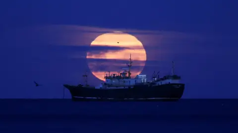 Superluna Fría en Chile Superluna Fría en Chile
