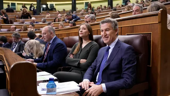El líder del PP, Alberto Núñez Feijóo, en su escaño durante la sesión de control en el Congreso El líder del PP, Alberto Núñez Feijóo, en su escaño durante la sesión de control en el Congreso