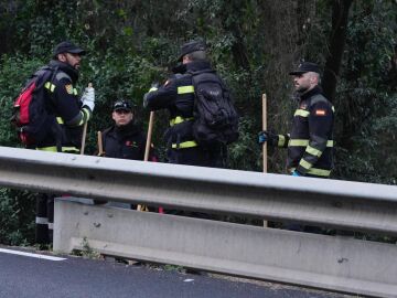 El Gobierno crea un comit&eacute; cient&iacute;fico de asesoramiento sobre la peste porcina africana