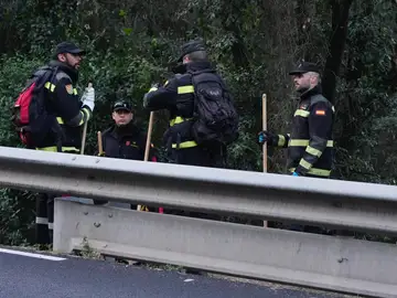 El Gobierno crea un comité científico de asesoramiento sobre la peste porcina africana El Gobierno crea un comité científico de asesoramiento sobre la peste porcina africana