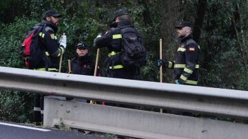 El Gobierno crea un comité científico de asesoramiento sobre la peste porcina africana