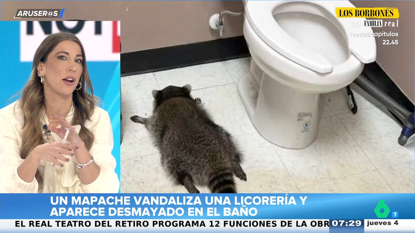 El surrealista viral del mapache que se coló en una licorería y apareció desmayado en el baño El surrealista viral del mapache que se coló en una licorería y apareció desmayado en el baño