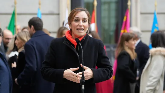 Imagen de la ministra de Sanidad, Mónica García Imagen de la ministra de Sanidad, Mónica García