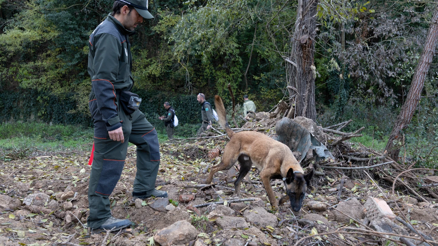El Cuerpo de Agentes Rurales del Departamento de Interior y Seguridad Pública muestra cómo se trabaja con los agentes caninos en la localización de ejemplares de jabalí El Cuerpo de Agentes Rurales del Departamento de Interior y Seguridad Pública muestra cómo se trabaja con los agentes caninos en la localización de ejemplares de jabalí