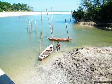 Ilha do Marajó Ilha do Marajó